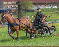 1POSIEUX 0430